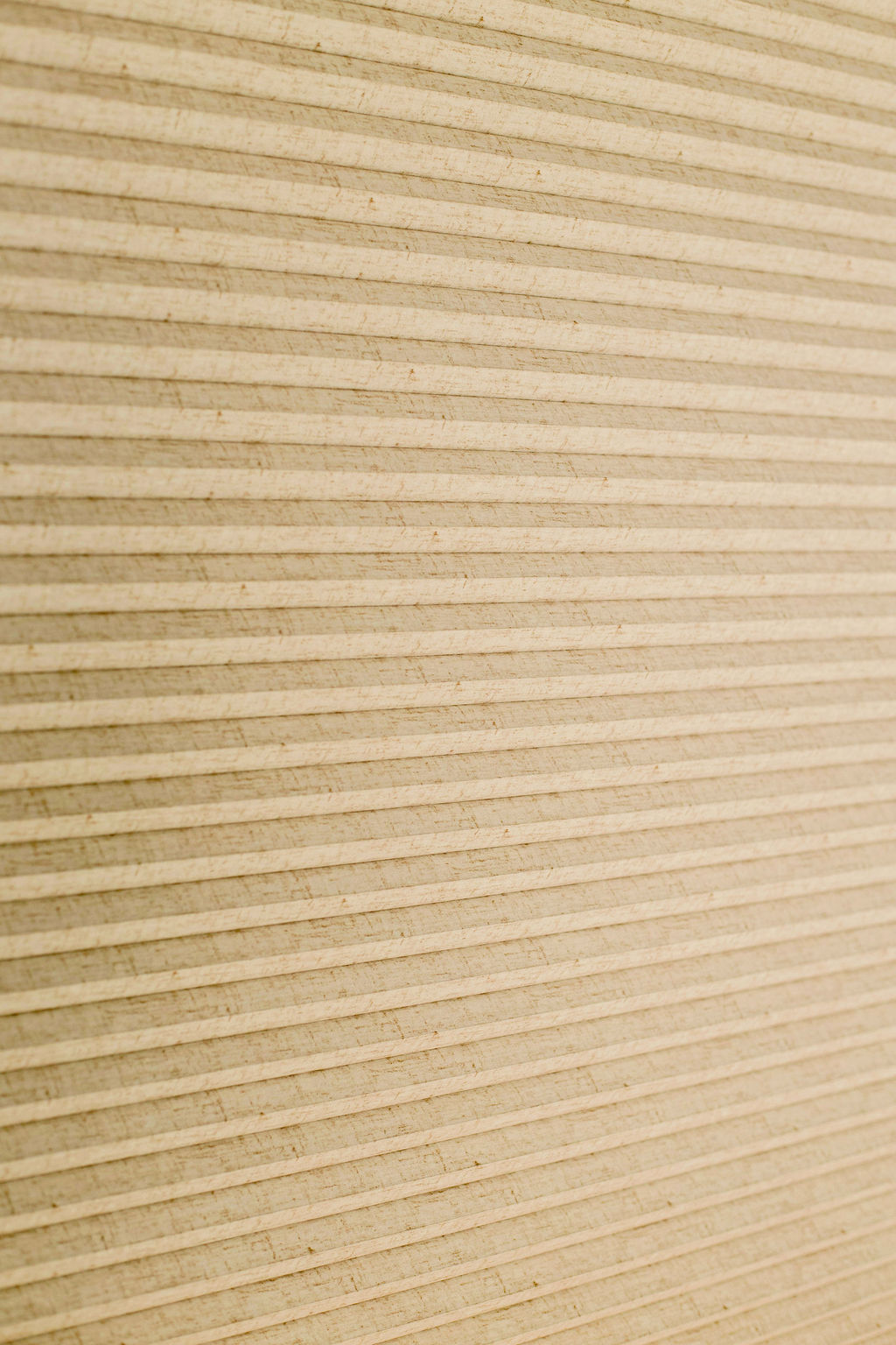 Zebra blinds in living room