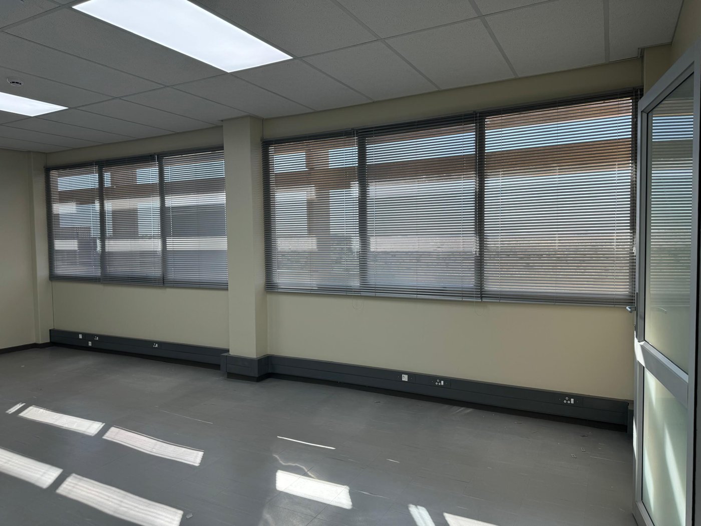 Zebra blinds — MoHSS head office