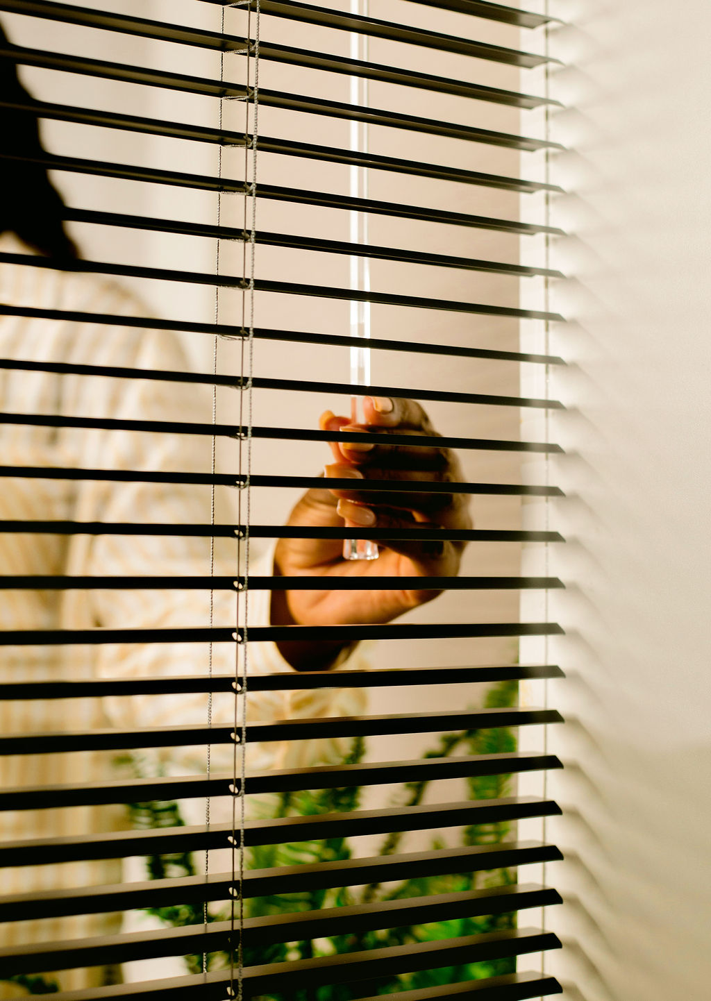 Venetian Blinds