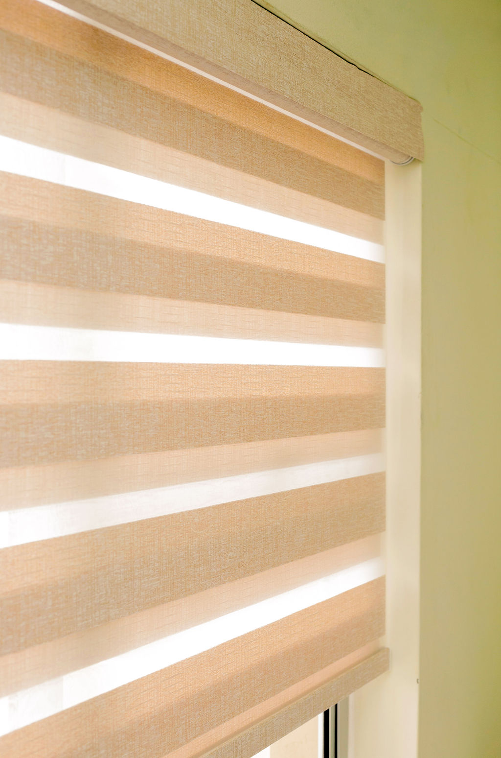 Zebra Blinds